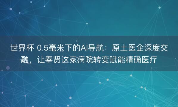 世界杯 0.5毫米下的AI导航:原土医企深度交融,让奉贤这家病院转变赋能精确医疗