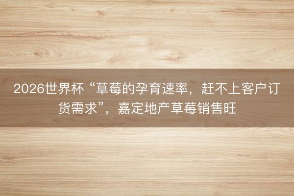 2026世界杯 “草莓的孕育速率，赶不上客户订货需求”，嘉定地产草莓销售旺