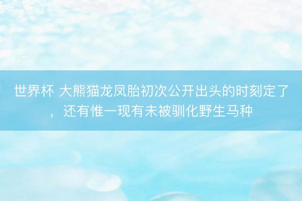 世界杯 大熊猫龙凤胎初次公开出头的时刻定了，还有惟一现有未被驯化野生马种