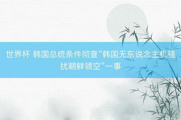 世界杯 韩国总统条件彻查“韩国无东说念主机骚扰朝鲜领空”一事