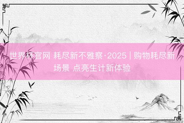世界杯官网 耗尽新不雅察·2025 | 购物耗尽新场景 点亮生计新体验