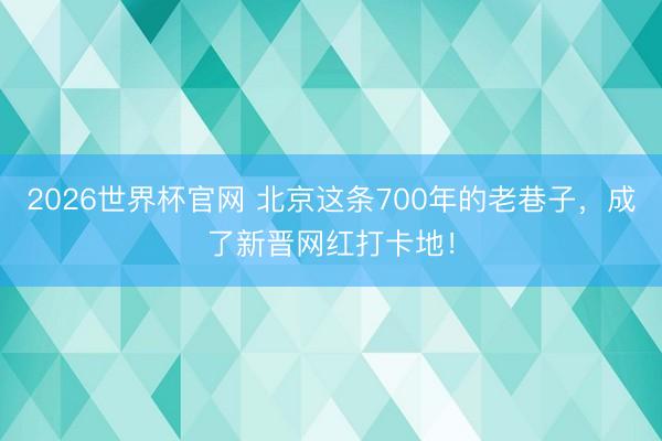 2026世界杯官网 北京这条700年的老巷子,成了新晋网红打卡地!