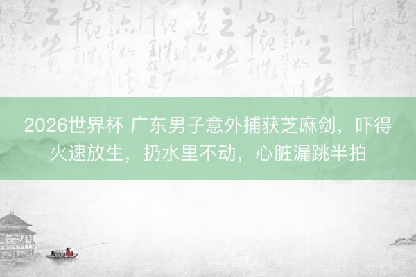 2026世界杯 广东男子意外捕获芝麻剑，吓得火速放生，扔水里不动，心脏漏跳半拍