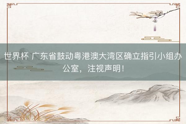 世界杯 广东省鼓动粤港澳大湾区确立指引小组办公室，注视声明！