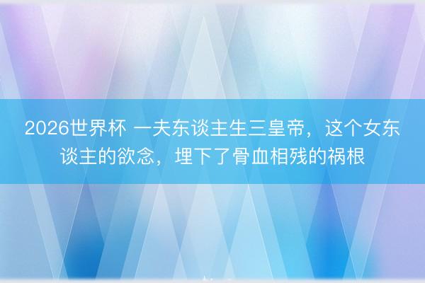 2026世界杯 一夫东谈主生三皇帝,这个女东谈主的欲念,埋下了骨血相残的祸根