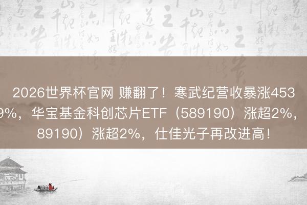 2026世界杯官网 赚翻了!寒武纪营收暴涨453%,海光信息涨近9%,华宝基金科创芯片ETF(589190)涨超2%,仕佳光子再改进高!