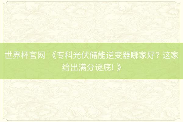 世界杯官网 《专科光伏储能逆变器哪家好? 这家给出满分谜底! 》