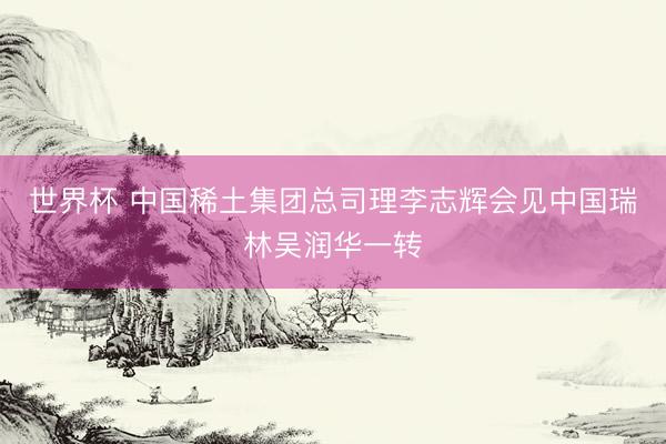 世界杯 中国稀土集团总司理李志辉会见中国瑞林吴润华一转