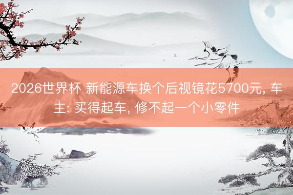 2026世界杯 新能源车换个后视镜花5700元， 车主: 买得起车， 修不起一个小零件