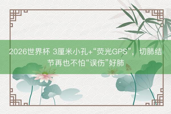 2026世界杯 3厘米小孔+“荧光GPS”，切肺结节再也不怕“误伤”好肺