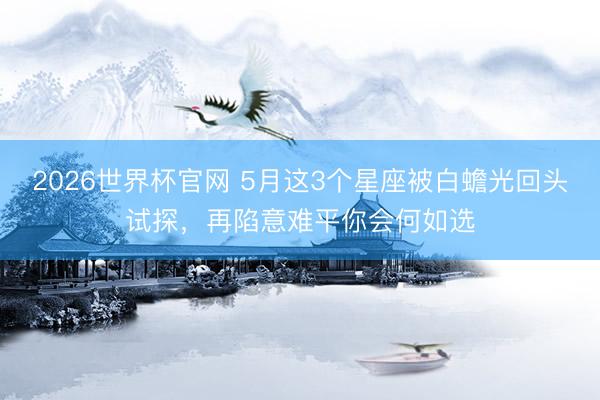 2026世界杯官网 5月这3个星座被白蟾光回头试探，再陷意难平你会何如选