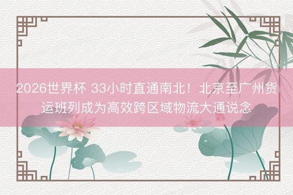 2026世界杯 33小时直通南北！北京至广州货运班列成为高效跨区域物流大通说念