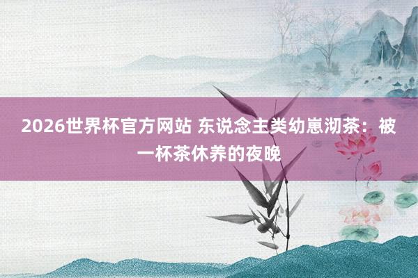 2026世界杯官方网站 东说念主类幼崽沏茶：被一杯茶休养的夜晚
