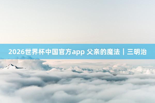 2026世界杯中国官方app 父亲的魔法｜三明治