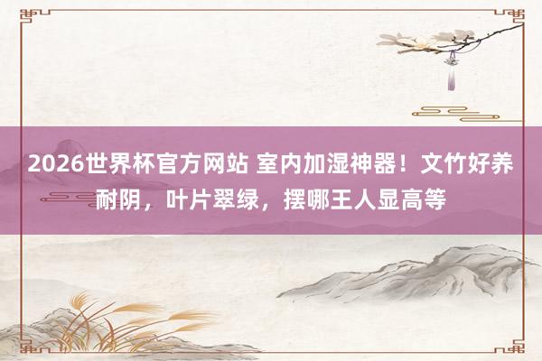2026世界杯官方网站 室内加湿神器！文竹好养耐阴，叶片翠绿，摆哪王人显高等