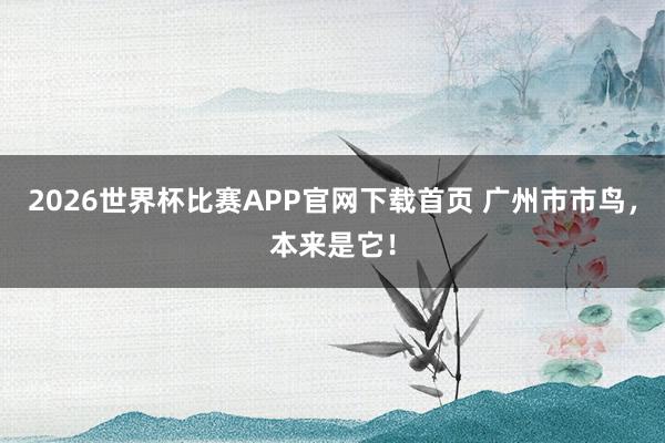 2026世界杯比赛APP官网下载首页 广州市市鸟,本来是它!