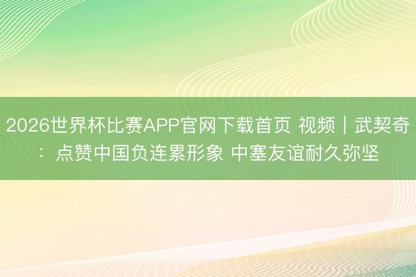2026世界杯比赛APP官网下载首页 视频|武契奇:点赞中国负连累形象 中塞友谊耐久弥坚